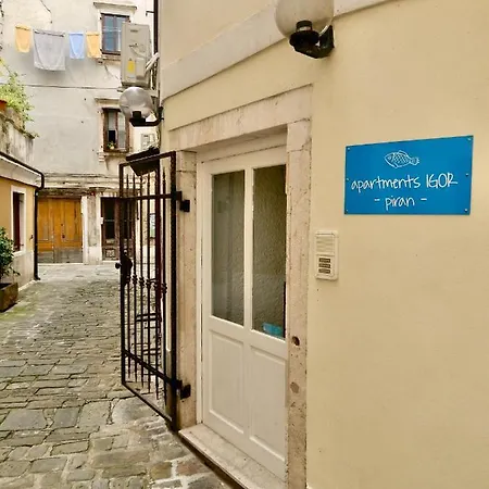 Igor Guest house *