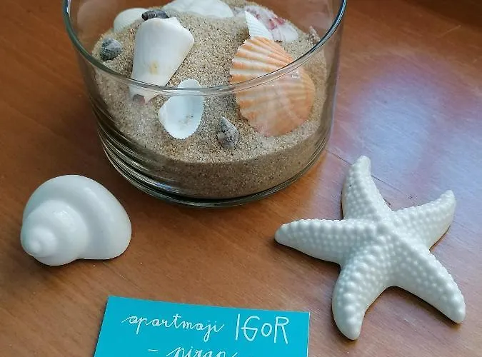 招待所 Igor 皮兰