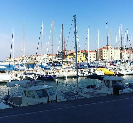 Πανσιόν Igor 4*